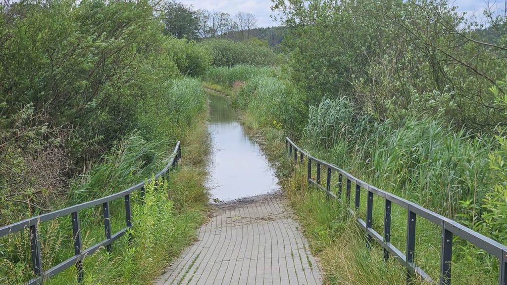 Czy tym miejscem znów zainteresują się spacerowicze i badacze przeszłości? - Nowe jezioro w Olsztynie. Kiedyś już tu było