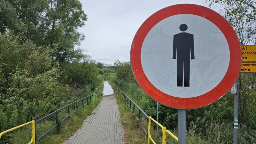 Czy tym miejscem znów zainteresują się spacerowicze i badacze przeszłości? - Nowe jezioro w Olsztynie. Kiedyś już tu było