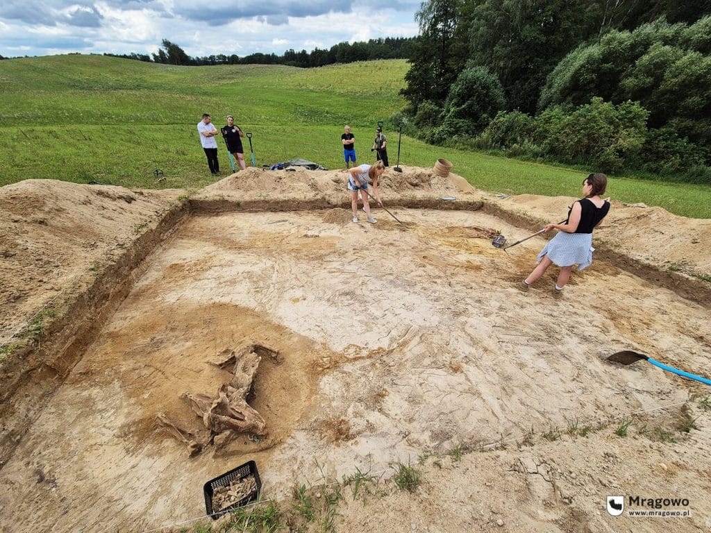 Specjaliści odkopali końskie szkielety. - Tajemnicze znalezisko na Mazurach. Odkryto wielkie cmentarzysko koni