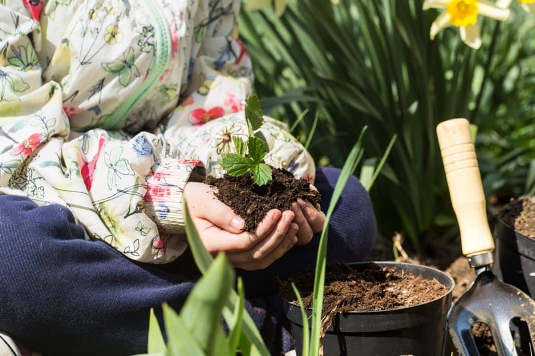 Czy w XXI wieku warto kształcić się w kierunkach związanych z rolnictwem?