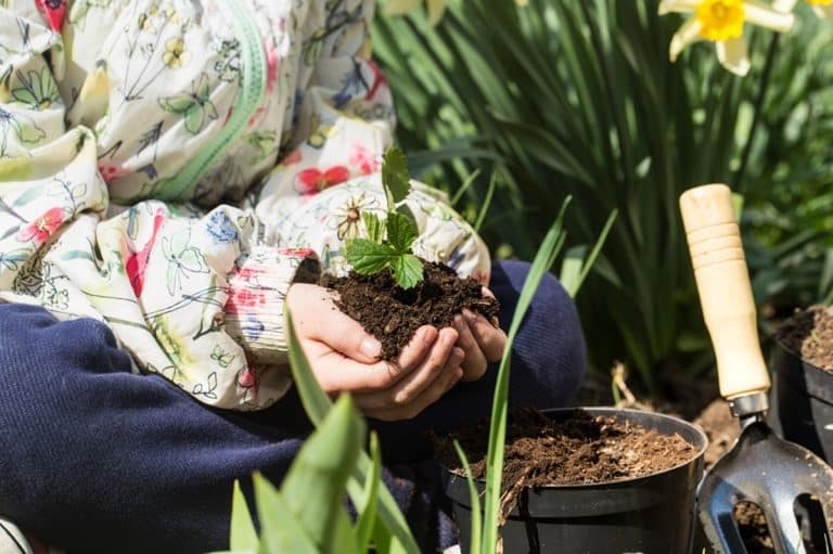 Czy w XXI wieku warto kształcić się w kierunkach związanych z rolnictwem?