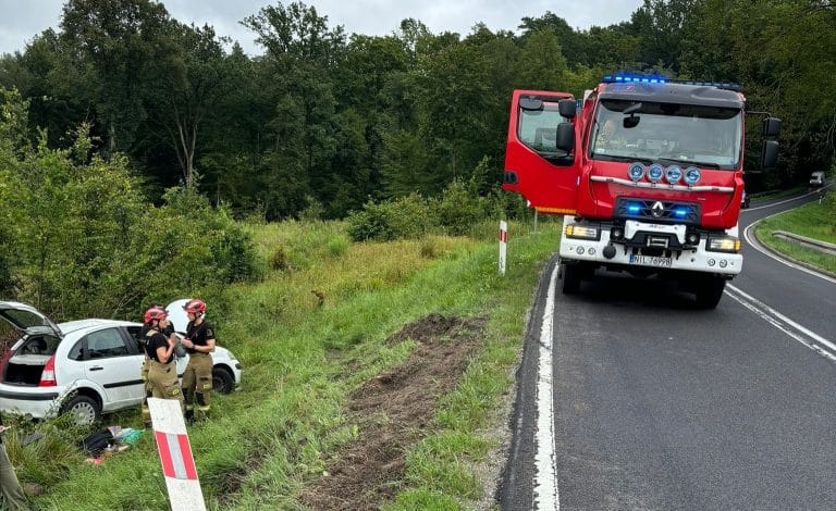 zdarzenie drogowe na dk16