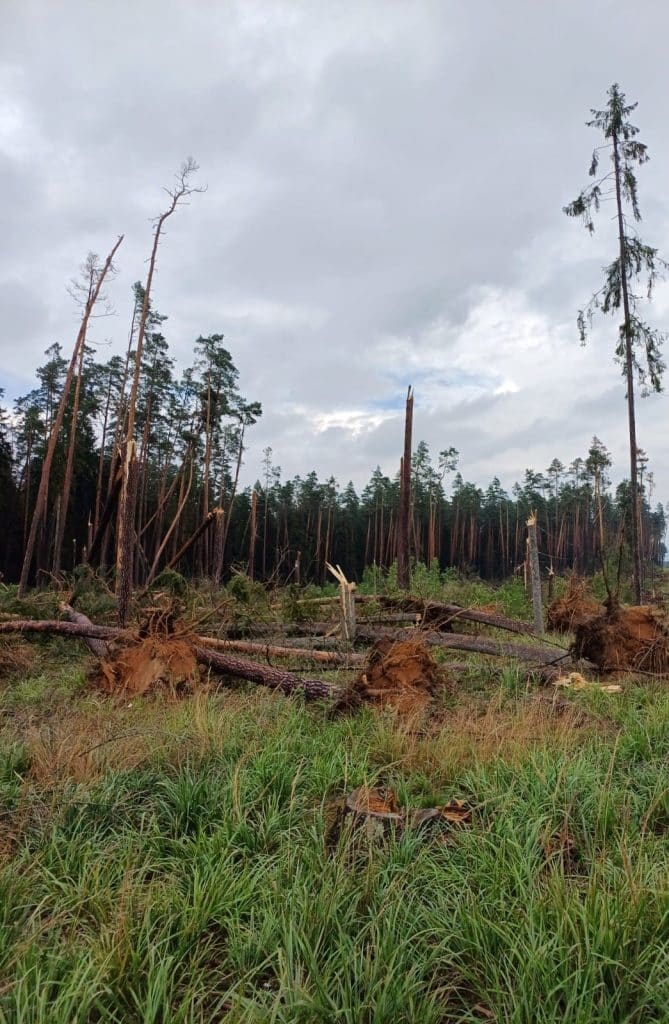 Straty są bardzo duże. Mieszkańcy i turyści w szoku. - Trąba powietrzna na Mazurach. Anomalia siała spustoszenie