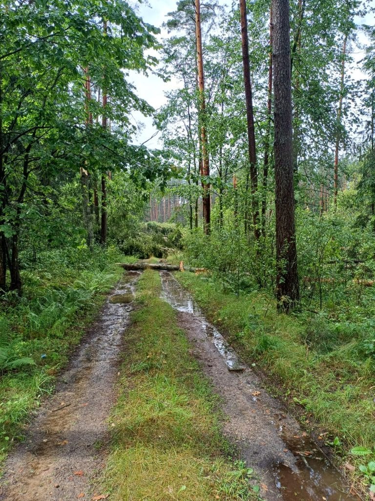Straty są bardzo duże. Mieszkańcy i turyści w szoku. - Trąba powietrzna na Mazurach. Anomalia siała spustoszenie