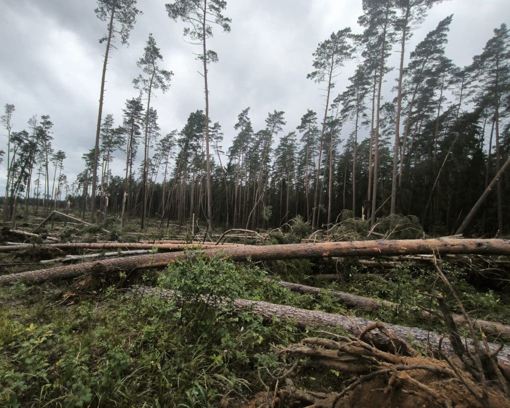 Straty są bardzo duże. Mieszkańcy i turyści w szoku. - Trąba powietrzna na Mazurach. Anomalia siała spustoszenie