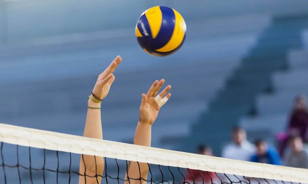 piłka siatkowa