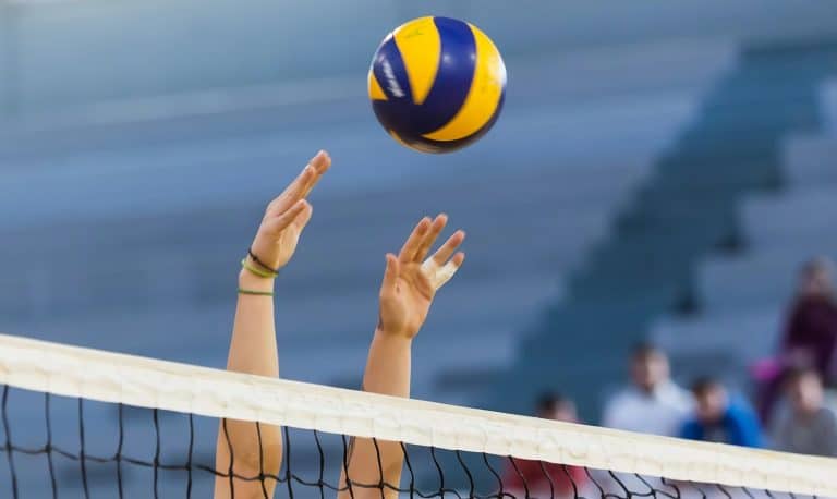 piłka siatkowa