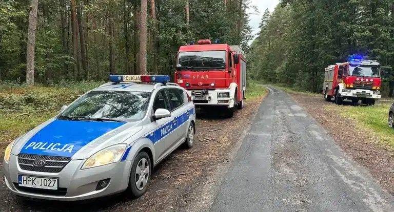 poszukiwania seniora