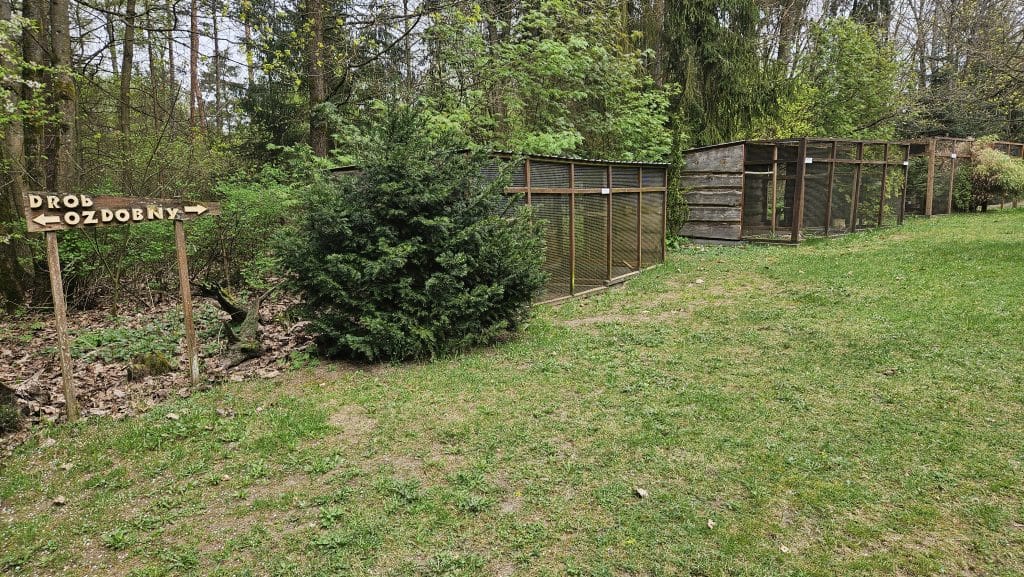 Właściciel zamieścił poruszający wpis w mediach społecznościowych. - Po 13 latach zamyka się olsztyńska Ptaszarnia. „I tak prawie nikt nie przychodził”