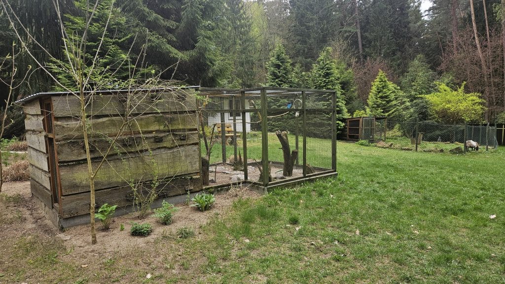 Właściciel zamieścił poruszający wpis w mediach społecznościowych. - Po 13 latach zamyka się olsztyńska Ptaszarnia. „I tak prawie nikt nie przychodził”