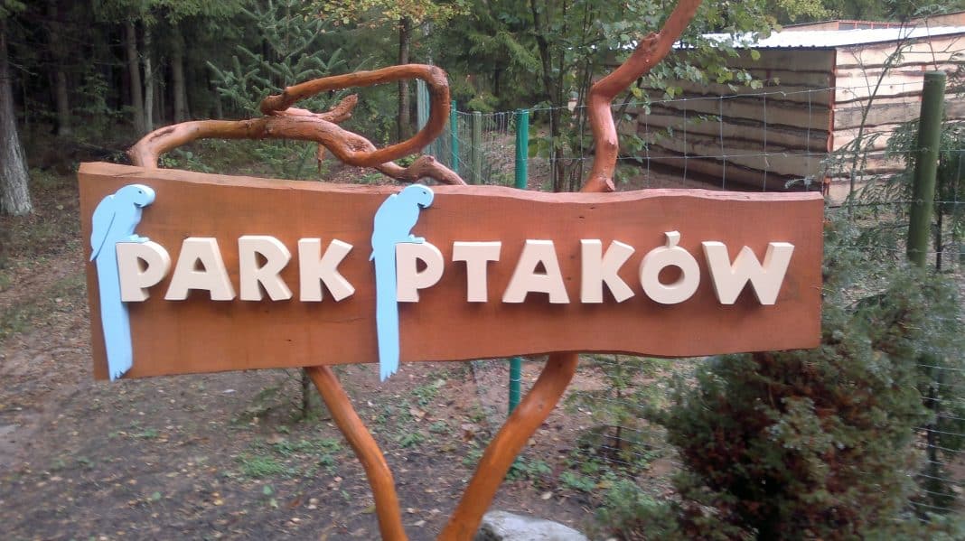 ptaszarnia w Olsztynie