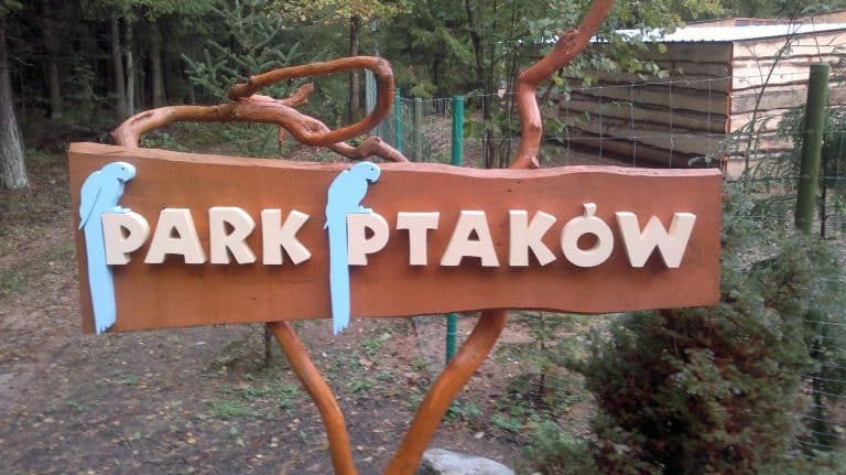 ptaszarnia w Olsztynie