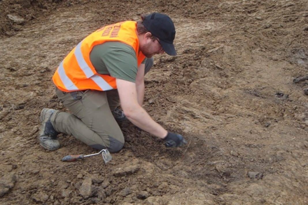 poszukiwanie szczątków