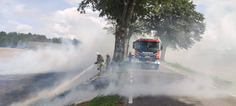 pożar na polu