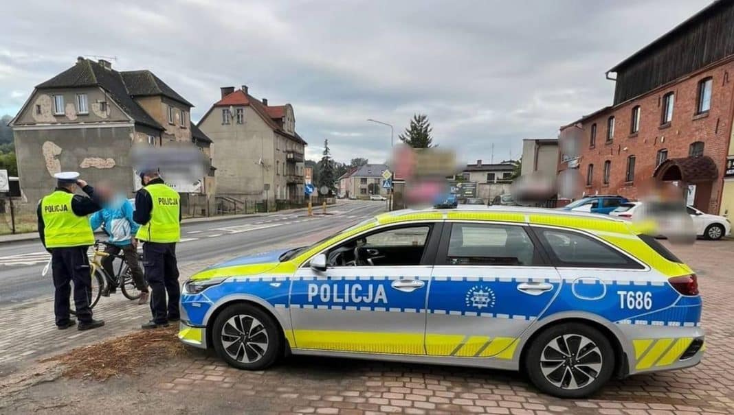 zatrzymanie do kontroli