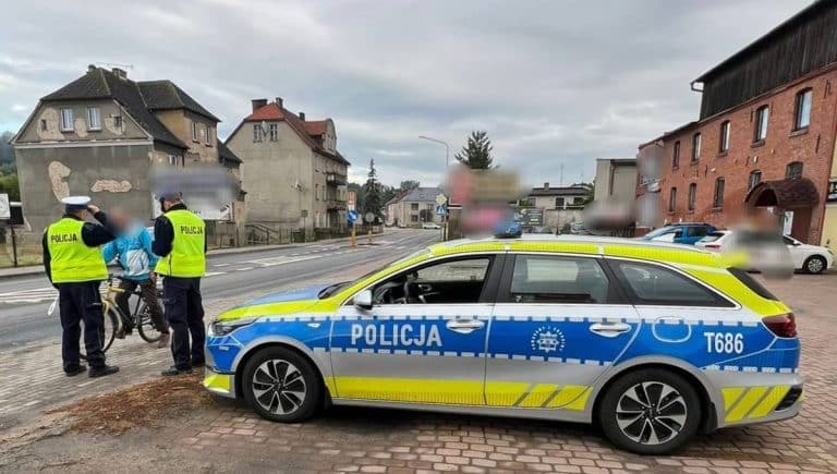 zatrzymanie do kontroli