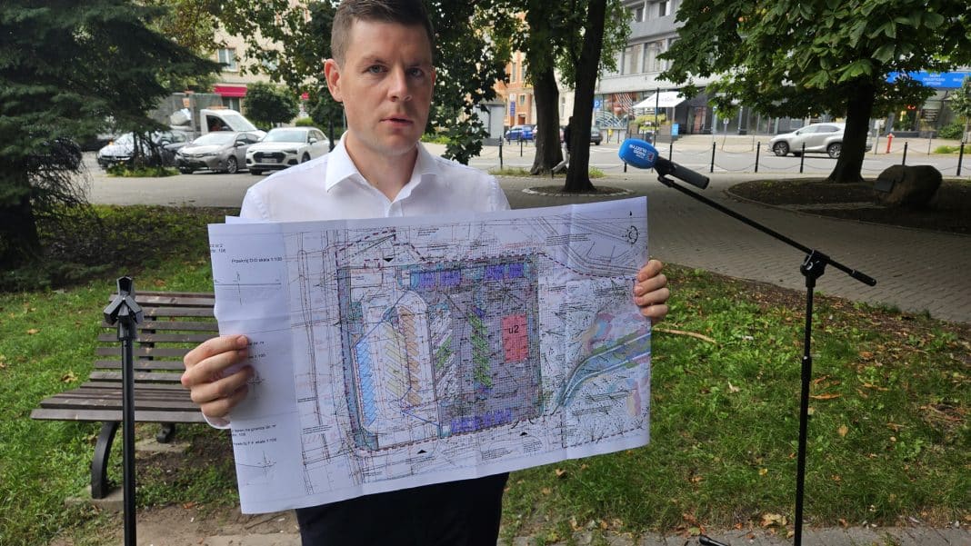 Radny Adam Andrasz alarmuje: Ponad 250 drzew w Parku zostanie wyciętych