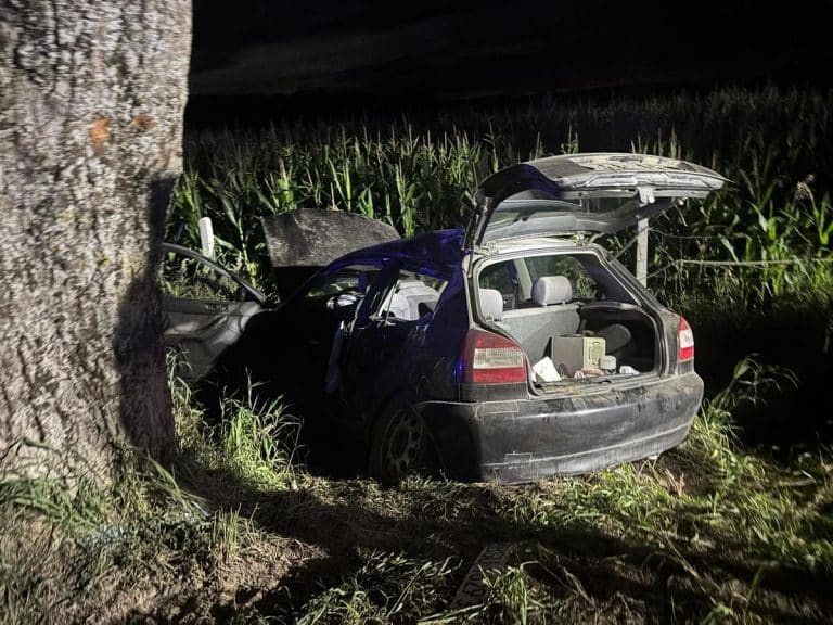 audi rozbite na drzewie