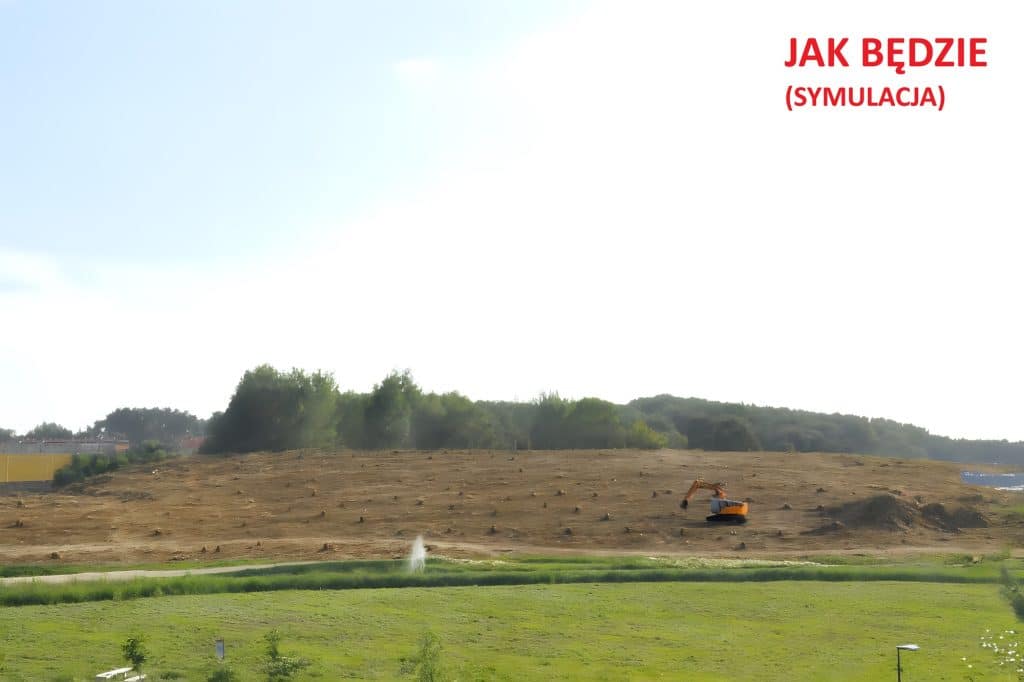 Czy park bez drzew, to nadal park? Kolejna wycinka w zielonym Olsztynie. - Radny Adam Andrasz alarmuje: Ponad 250 drzew w Parku zostanie wyciętych