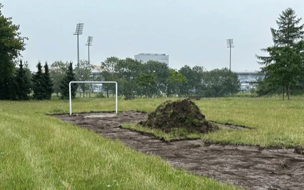 modernizacja boiska w parku Kusocińskiego