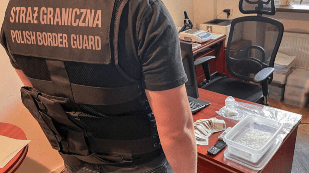 straż graniczna narkotyki