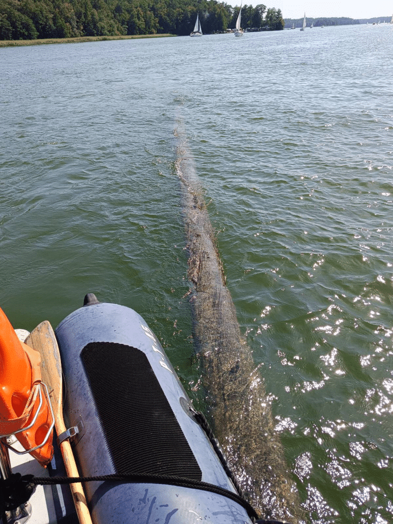 Niebezpieczeństwo może czaić się tuż pod powierzchnią wody. - Czaiła się pod wodą jak potwór… Policjanci wyciągnęli coś gigantycznego z jeziora