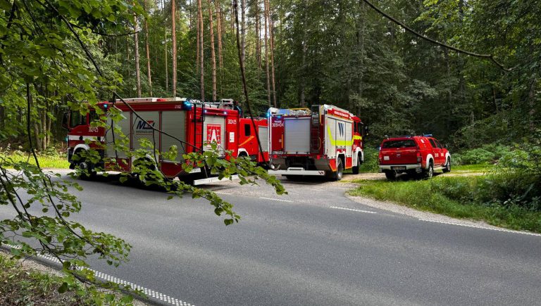 poszukiwania mężczyzny