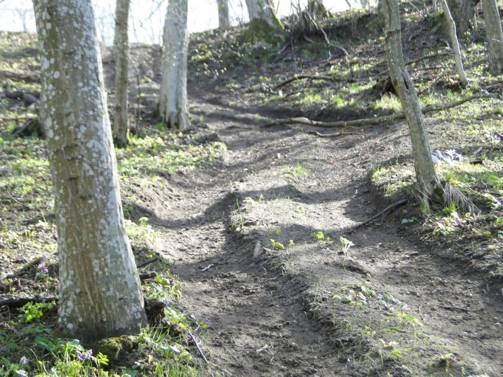 To już nie incydent, a narastający problem. Lasy, rezerwaty i zabytki padają ofiarą rajdów quadami. - Quady zdewastowały 2000-letnie grodzisko Jaćwingów. Prokuratura zaskakuje decyzją