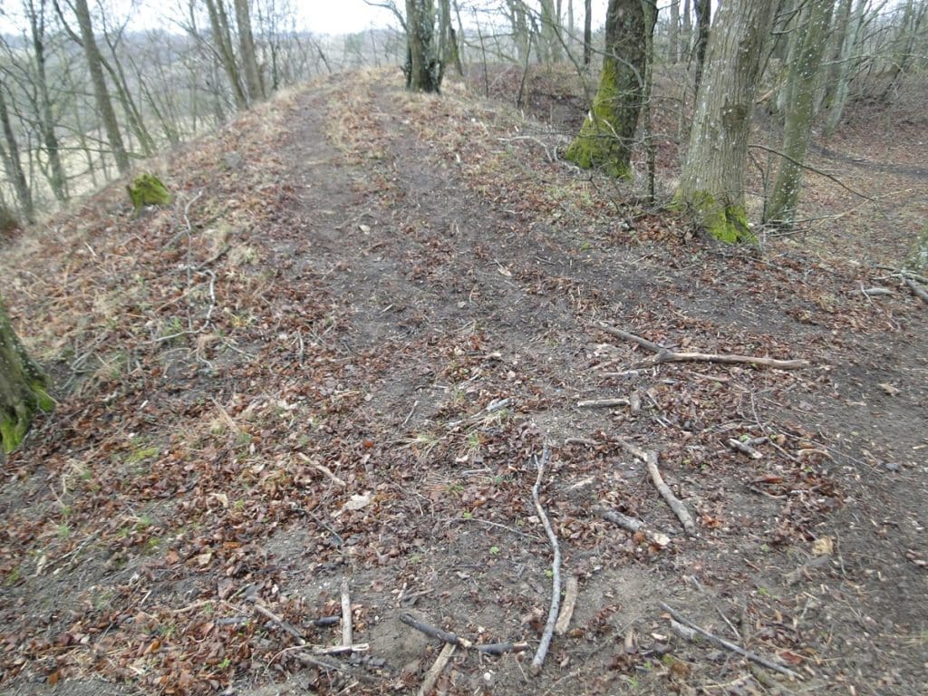To już nie incydent, a narastający problem. Lasy, rezerwaty i zabytki padają ofiarą rajdów quadami. - Quady zdewastowały 2000-letnie grodzisko Jaćwingów. Prokuratura zaskakuje decyzją