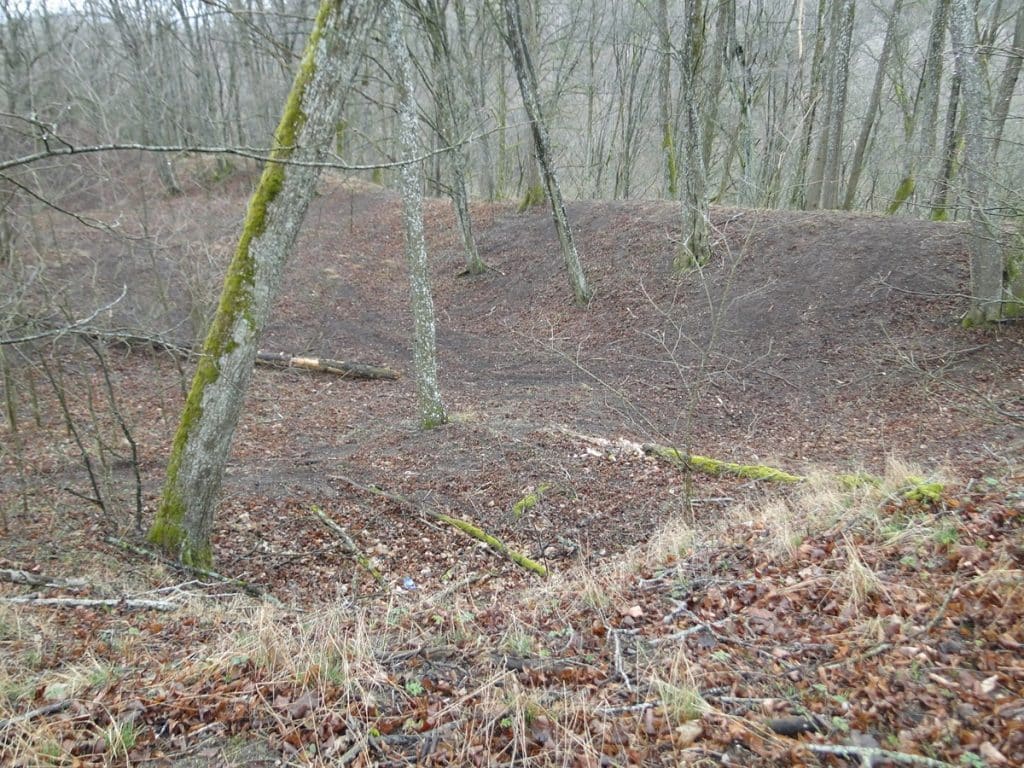 To już nie incydent, a narastający problem. Lasy, rezerwaty i zabytki padają ofiarą rajdów quadami. - Quady zdewastowały 2000-letnie grodzisko Jaćwingów. Prokuratura zaskakuje decyzją