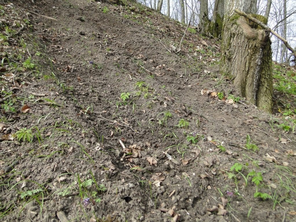 To już nie incydent, a narastający problem. Lasy, rezerwaty i zabytki padają ofiarą rajdów quadami. - Quady zdewastowały 2000-letnie grodzisko Jaćwingów. Prokuratura zaskakuje decyzją