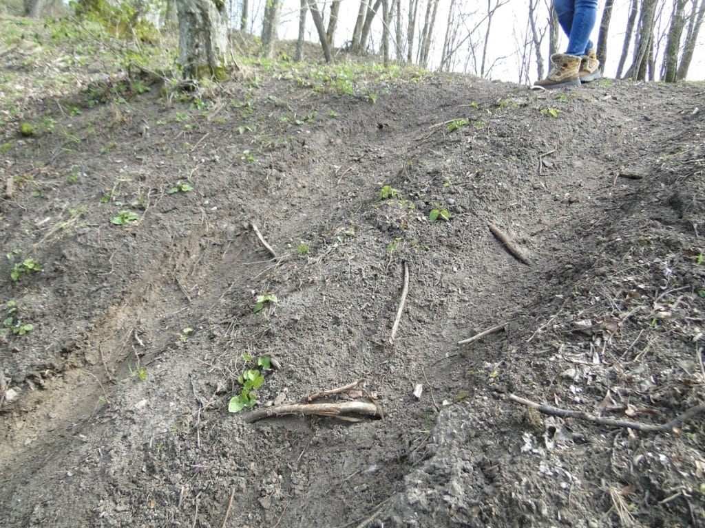 To już nie incydent, a narastający problem. Lasy, rezerwaty i zabytki padają ofiarą rajdów quadami. - Quady zdewastowały 2000-letnie grodzisko Jaćwingów. Prokuratura zaskakuje decyzją