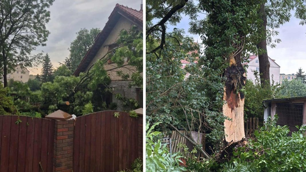 drzewo przewróciło się na dom