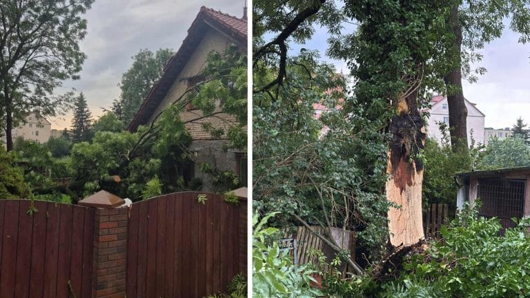 drzewo przewr&oacute;ciło się na dom