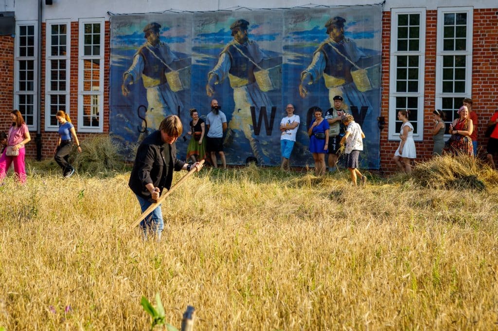 Pole w centrum miasta stało się miejscem spotkań. - Niezwykły projekt MOK. Zasiali zboże w centrum Olsztyna, zebrali plony i upiekli chleb
