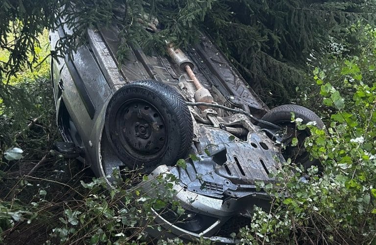 auto zawisło na drzewie