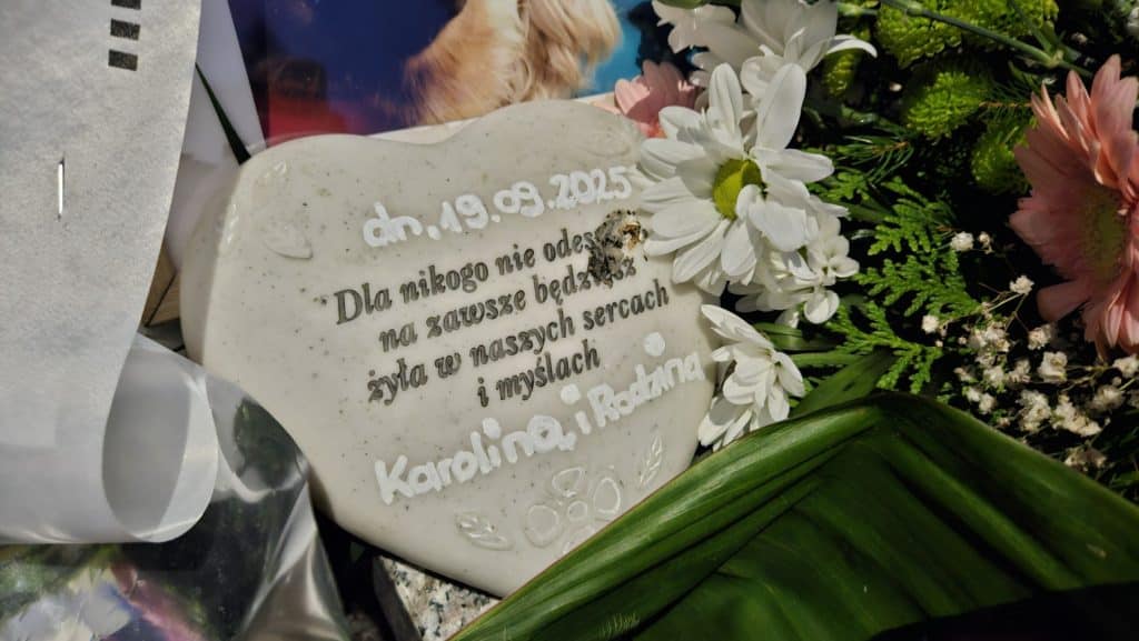 Czy Damian D. odpowie za dramat Marty i innych ofiar? - Prokuratura stawia 10 zarzutów „Aladynowi”. Damian D. nie przyznaje się?