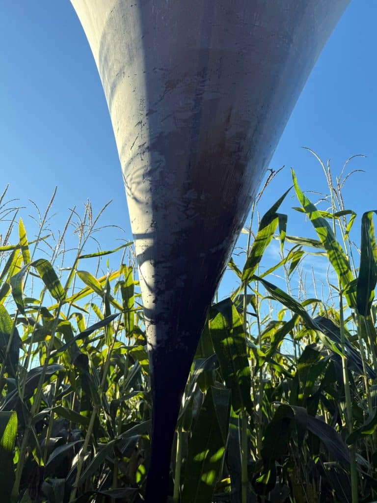 Służby pracowały na miejscu, gdzie spadły balony z ładunkiem. - Policja ostrzega przed zrzutami z balonów na Warmii i Mazurach. Należy to pilnie zgłaszać