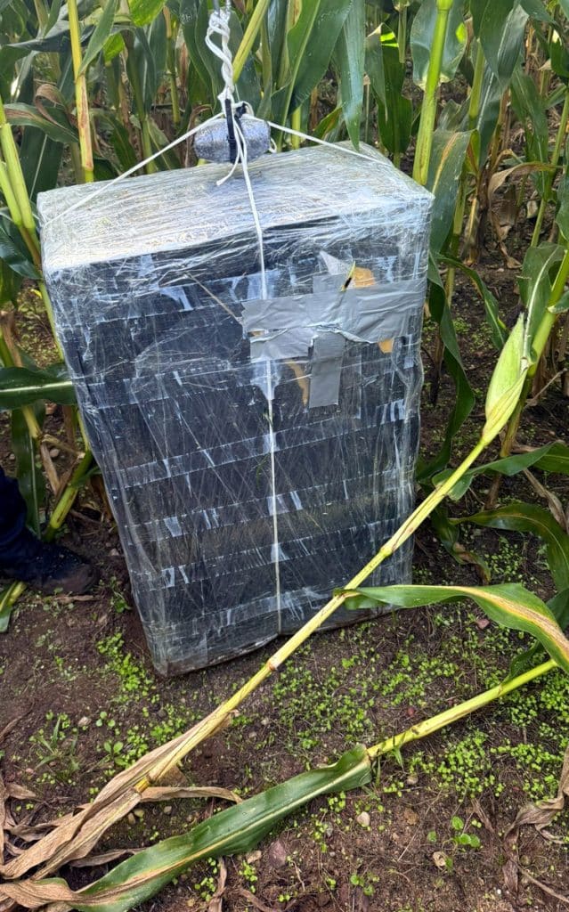 Służby pracowały na miejscu, gdzie spadły balony z ładunkiem. - Policja ostrzega przed zrzutami z balonów na Warmii i Mazurach. Należy to pilnie zgłaszać