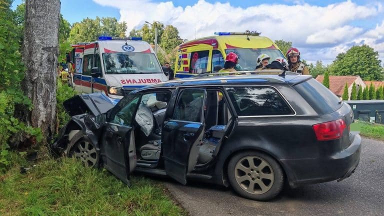 Audi uderzyło w drzewo