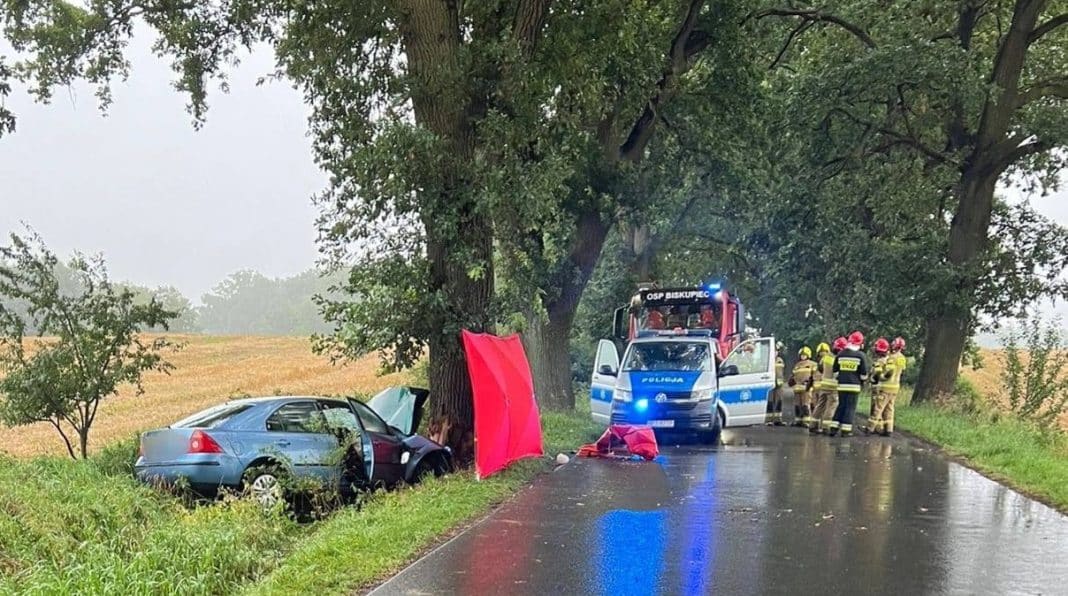 śmiertelny wypadek w Piotrowicach