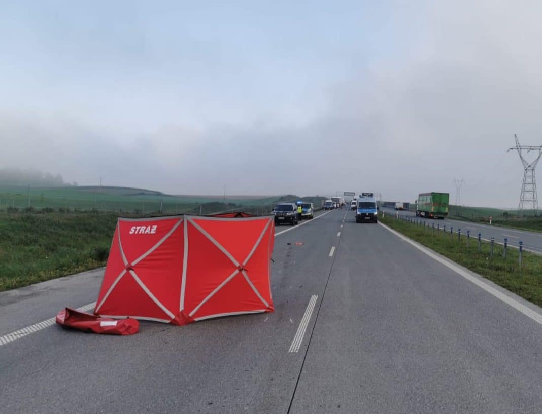 wypadek potracenie pieszego