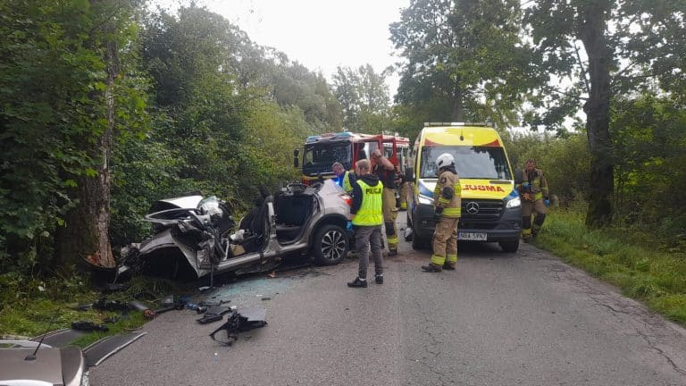 rodzinna tragedia na drodze