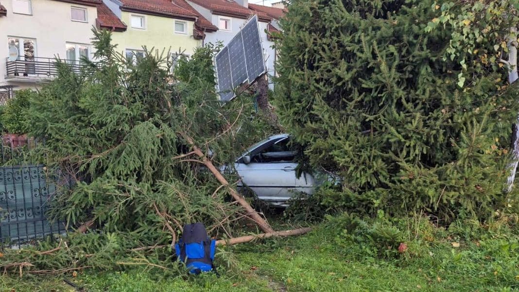 roztrzaskał bmw na płocie i drzewie