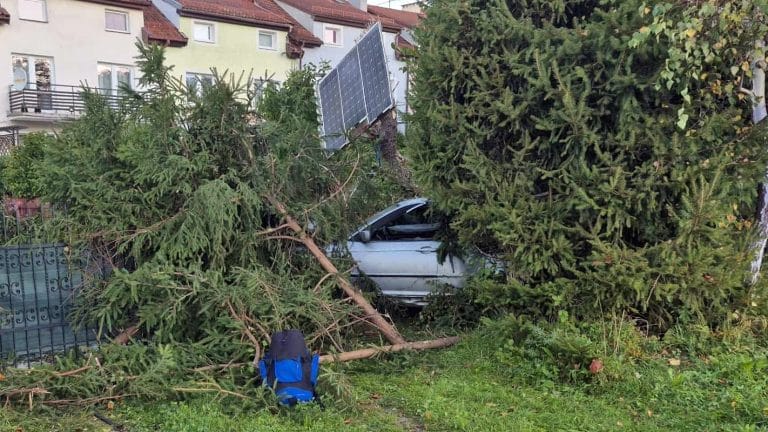 roztrzaskał bmw na płocie i drzewie