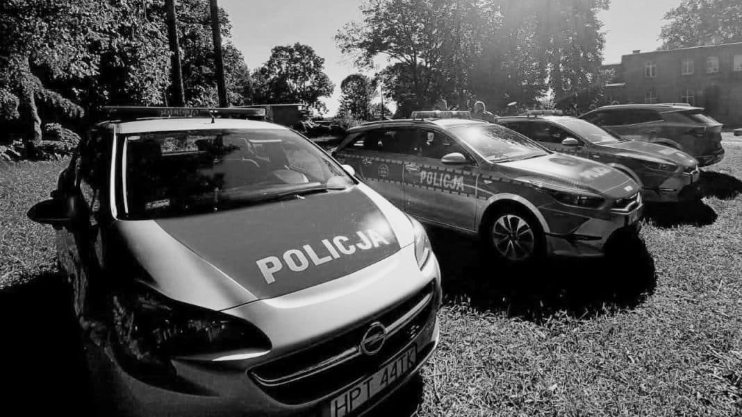 radiowozy policyjne, poszukiwania