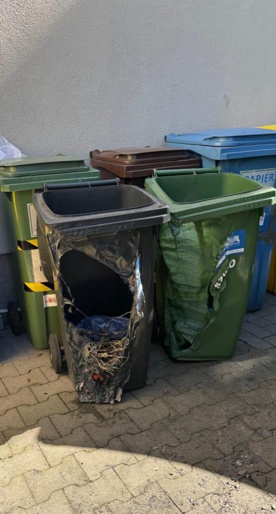 Seria podpaleń w centrum miasta. - Chuligan podpalił 23 kontenery na śmieci. Straty sięgają 57 tys. zł