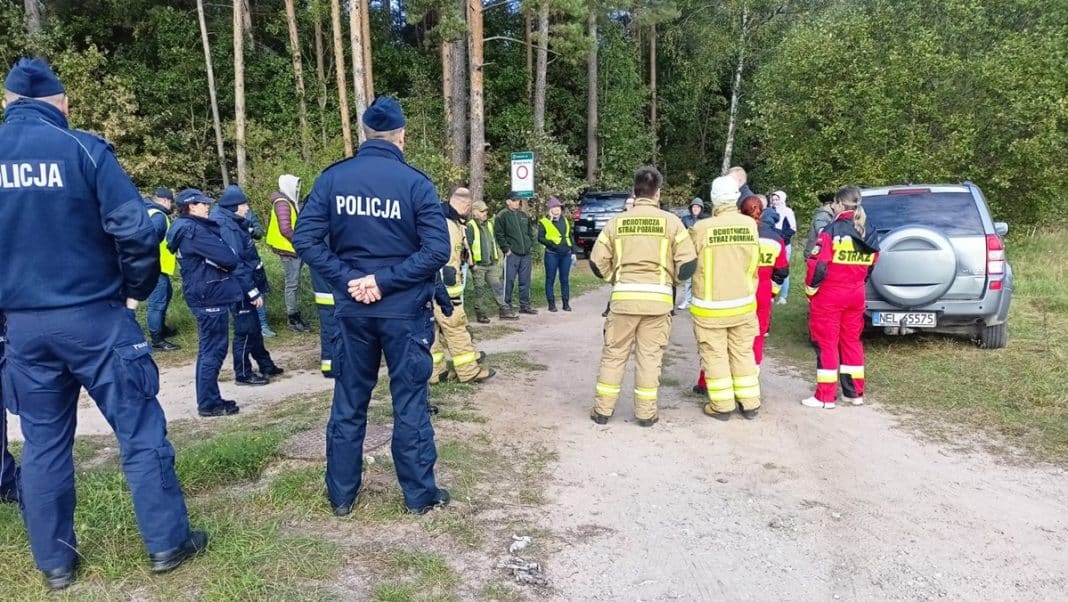 poszukiwania seniorki