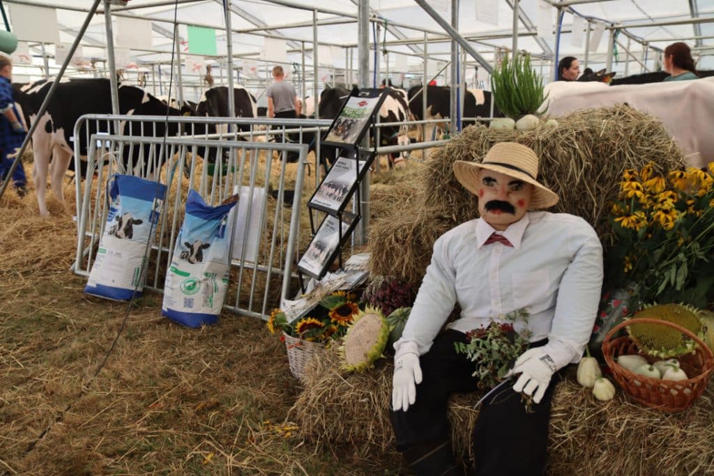 Setki wystawców i 7 hektarów atrakcji. Zbliżają się XXXI Jesienne Targi Rolnicze! - Rolnicza stolica Warmii i Mazur. Największe targi agroWARMA 2025 już za kilka dni!