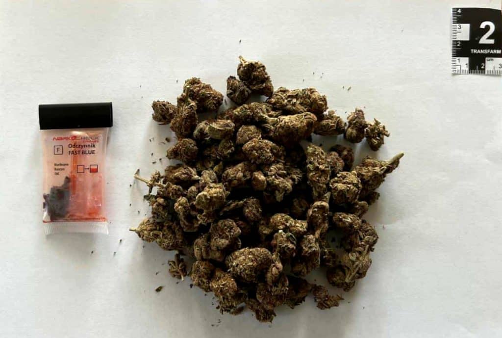 Tej osoby na pewno się nie spodziewali. - Dwóch 18-latków próbowało włamać się do domu. Nie wiedzieli, kto ich obserwuje